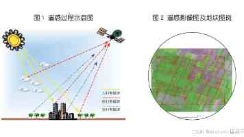 人人摸人人爱是什么意思 - 治愈系解压潮流分析
