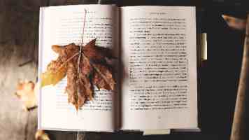 精品99视频合集怎么选｜片源画质与分类避坑指南