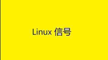 久久草怎么养？3个养护要点与常见误区解析