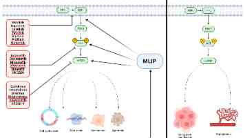 “军士导师”领衔专业团队